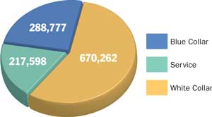 workforce pie chart